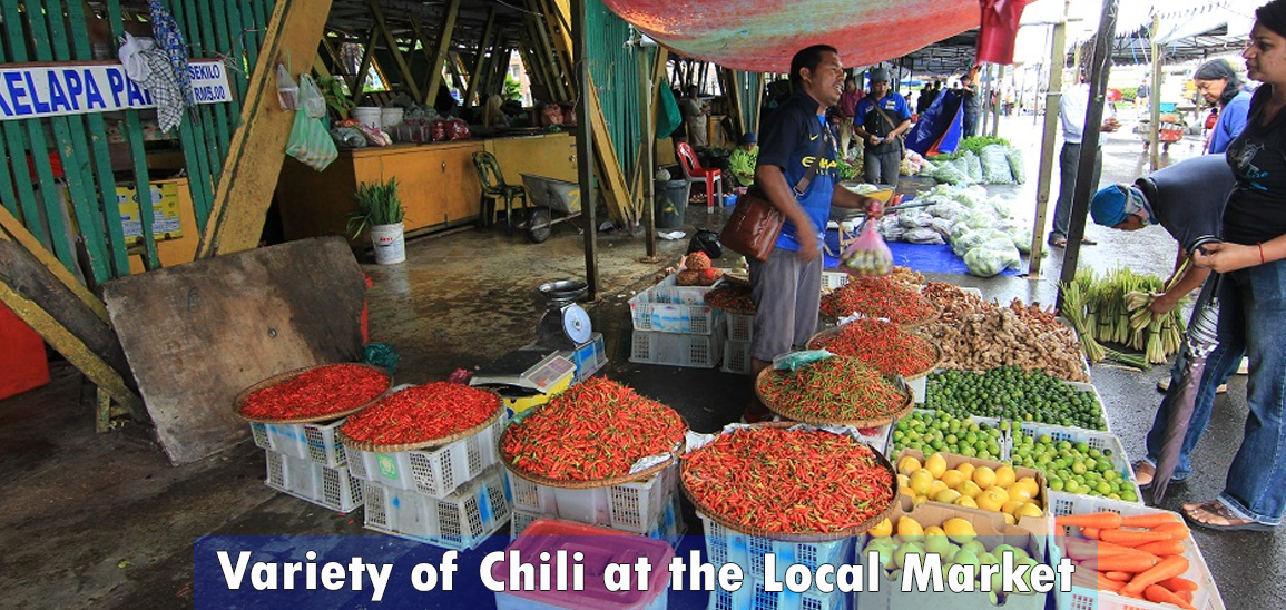 Chili-Market