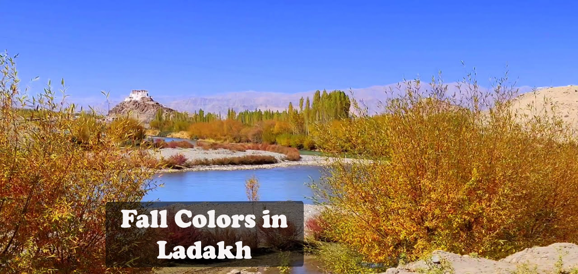 Colors-full-in-Ladakh