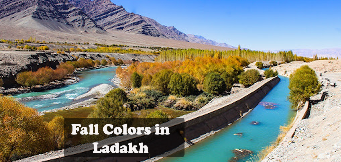 Fall-Colors-in-Ladakh