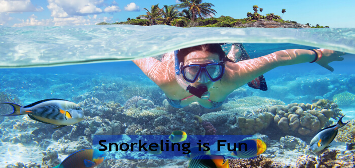 Snorkeling-is-Fun